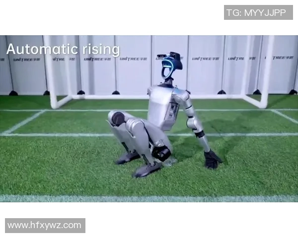 世界第一足球巨星的传奇之路与未来之展望